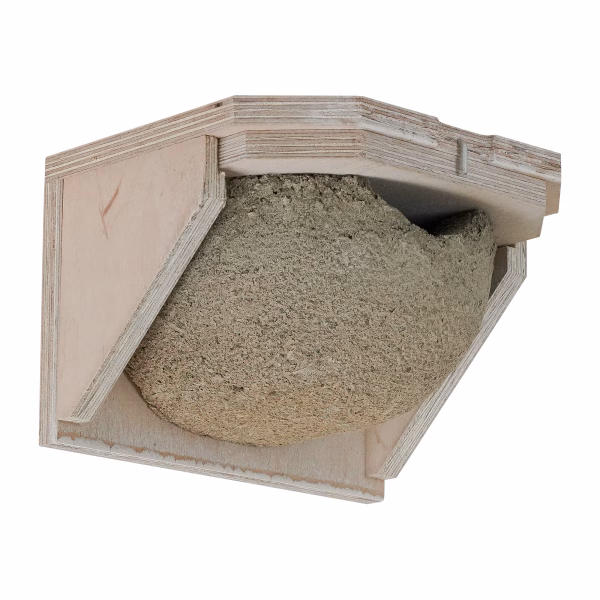 KN HZ 10 Huiszwaluw nest | 1 Huiszwaluw nest gemaakt van houtbeton