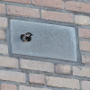 IB GZ 03 Gierzwaluw inbouw nestkast (renovatie). Een inbouwsteen gemaakt van houtbeton met waarin een huismus verblijft.