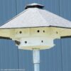 HT MU 03 Huismussentil exclusief paal | 4 HT MU 03 Huismussentil exclusief paal | 3