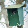 UK BO 01 Bosuil nestkast | 9