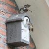 Afbeelding van een