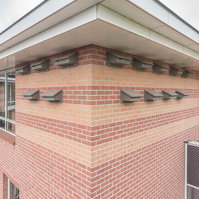 90806_NK-GZ-08-Nestkast-Gierzwaluw_PPA8649 Afbeelding van een gebouw met meerdere gevelkasten van Vivara Pro voor de gierzwaluw, een koloniebroeder