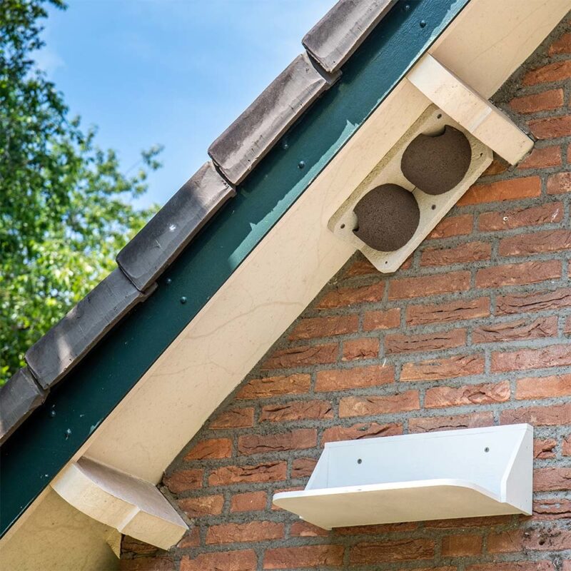 Zwaluw_Voorziening Afbeelding van een nestkast voor een zwaluw