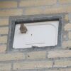 IB MU 06 Huismus inbouw nestkast enkel (renovatie) | 11 IB MU 06/07 huismus