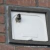IB MU 06 Huismus inbouw nestkast enkel (renovatie) | 12 IB MU 06/07 huismus