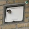 IB MU 06 Huismus inbouw nestkast enkel (renovatie) | 3 Een bewoonde IB MU 06 en 07