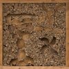 IP VU 01 Insectenwand vulling | 5