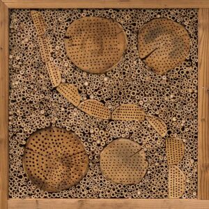 IP VU 01 Insectenwand vulling