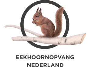Eekhoornopvang-partners Partners | 2