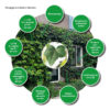 Een groene gevel, een waardevolle microhabitat