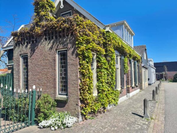 Afbeelding van een groene gevel op een woning in Nederland