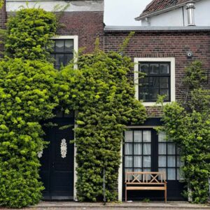 Groene gevels voor biodiversiteit - Vivara Pro