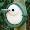 Adbeelding van een pimpelmees die probeert een nestkast van houtbeton, geproduceerd door Vivara Pro binnen te dringen.