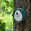 NK AL 01 Nestkast ovaal | 5