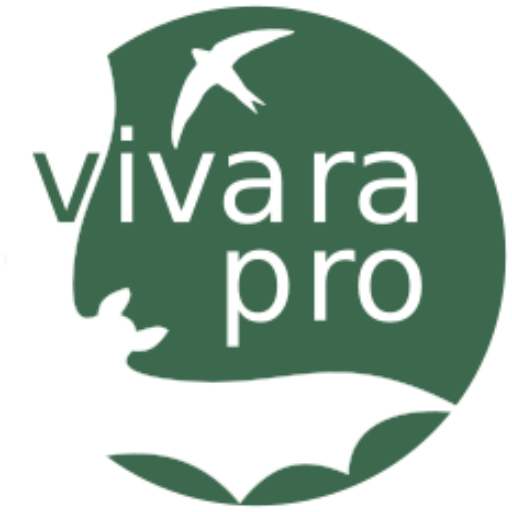 Vivara Pro logo