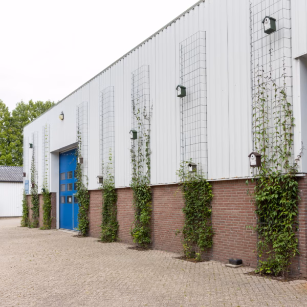 Gevelrekken voor groen | 1 Gevelrekken voor groen met nestkasten van vivara Pro aan het frame verbonden.