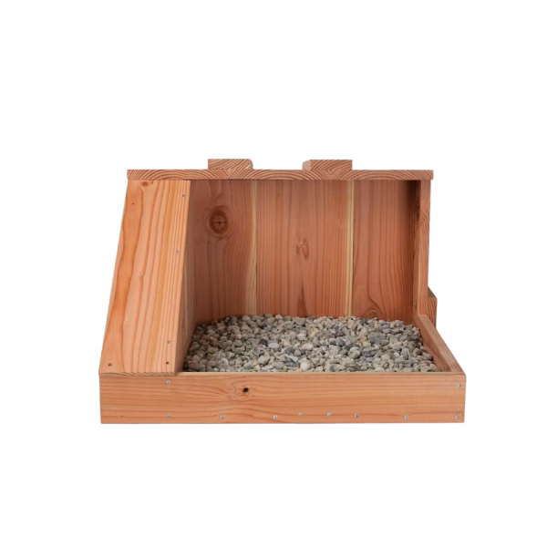 Meeuwen Nest Hub