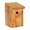 NK LA 01 Nestkast Pimpelmees | 3