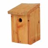 NK LA 01 Nestkast Pimpelmees | 11