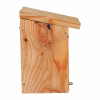NK LA 01 Nestkast Pimpelmees | 9