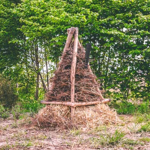 muizenruiter