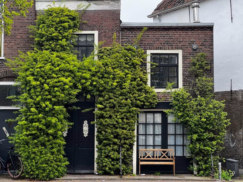 Groene-gevels-4 (2) Renovatie | 3