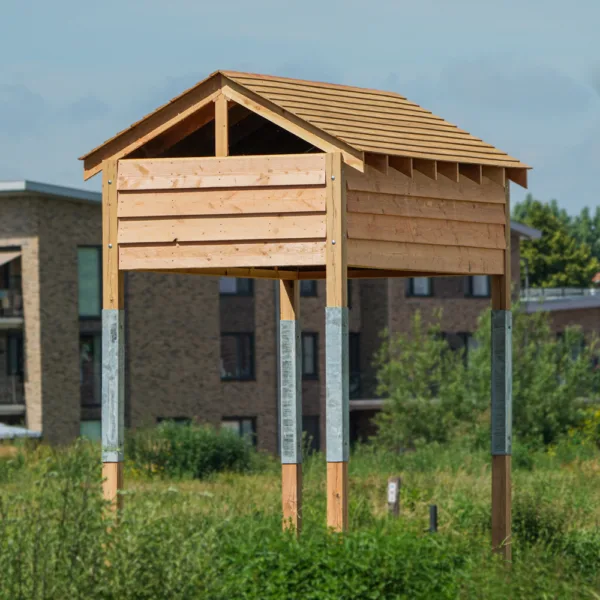 Boerenzwaluwtil BT BZ 01