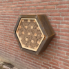 IP WA 06 Insectenwand Hex groot | 8 IP WA 06 Insectenwand Hex groot | 7