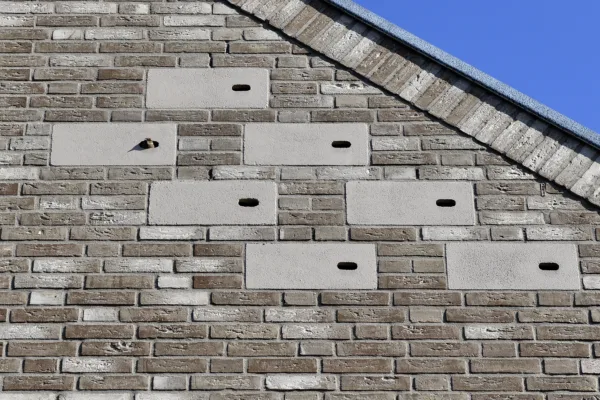 Inbouwstenen_Gevel Afbeelding van een zestal inbouwstenen welke zijn geïntegreerd in de gevel van een woning. uit een van invliegopening is een huismus zichtbaar.