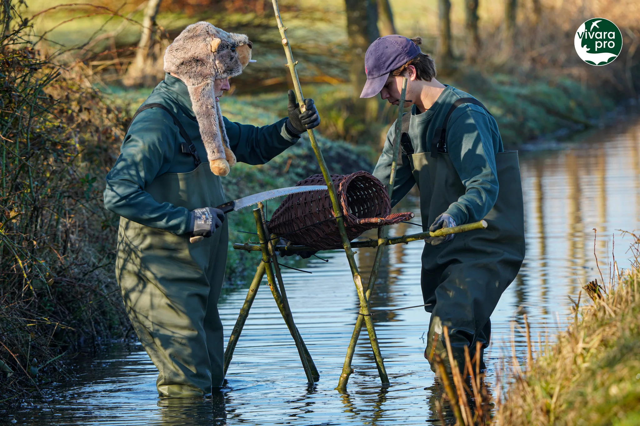 Eendenmand niet webp Eendenmand NK EE 01 in het water