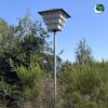 HT MU 04 Huismussentil inclusief paal | 3 HT MU 04 helemaal