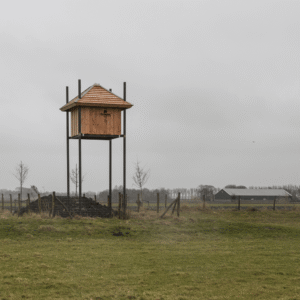 Maatwerk - Kerkuilentil Purmerend | 4 Afbeelding van een maatwerk uilentil voor de kerkuil in de gemeente Purmerend.