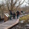 Afbeelding van meerdere mensen die op een vlonderpad lopen en stilstaan in een natuurgebied