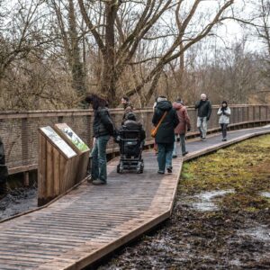 Afbeelding van meerdere mensen die op een vlonderpad lopen en stilstaan in een natuurgebied