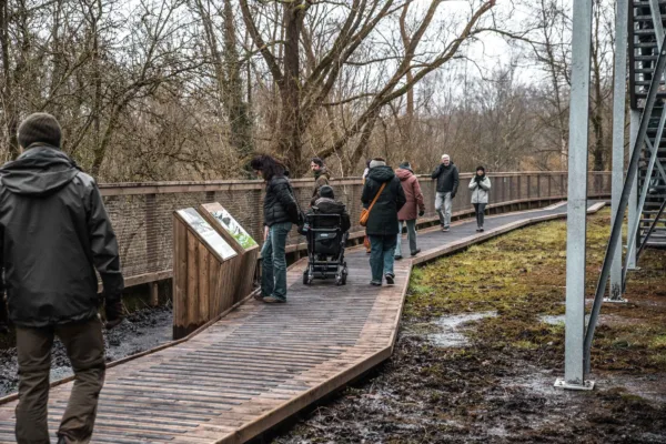 Afbeelding van meerdere mensen die op een vlonderpad lopen en stilstaan in een natuurgebied
