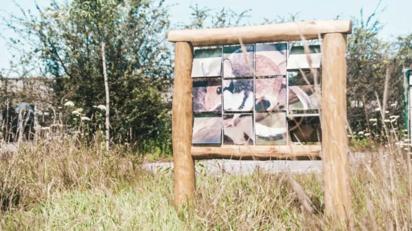 Natuurlijke speelplekken met educatieve waarde | 1 Afbeelding van een educatieve blokkenwand met een eikelmuis aan de ene kant en een veldmuis aan de andere kant.