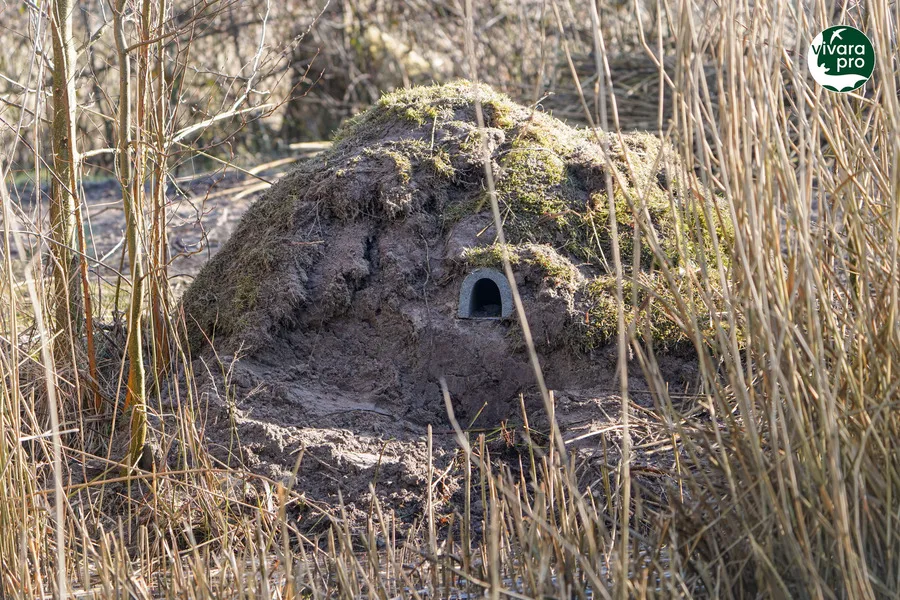 Afbeelding van een nestkast voor ijsvogels in een oeverwand