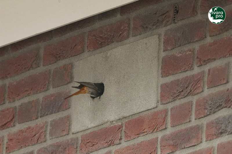 Berckelbosch nieuwbouwwijk inbouwstenen (2) IB GZ 05 in gebruik