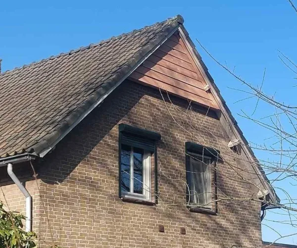 Afbeelding van de VK GB 02 Vleermuis Gevelbetimmering van Vivara Pro die is gemonteerd aan de gevel van een huis.