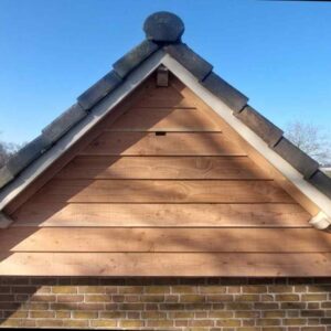 Afbeelding van de VK GB 02 Vleermuis Gevelbetimmering van Vivara Pro die is gemonteerd aan de gevel van een huis.