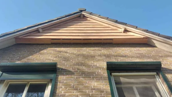 Afbeelding van de VK GB 02 Vleermuis Gevelbetimmering van Vivara Pro die is gemonteerd aan de gevel van een huis.