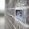 Bee brick inbouwsteen solitaire bij | 4 Bee Birck