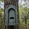 VK SW 01 Vleermuiskast | 7 Afbeelding van de VK SW 01/02 vleermuiskast van Vivara Pro gemonteerd aan een boom in het bos.
