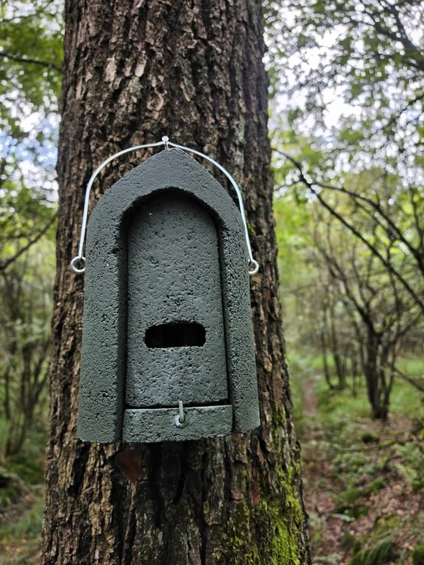 Afbeelding van de VK SW 01/02 vleermuiskast van Vivara Pro gemonteerd aan een boom in het bos.
