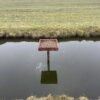 BE DG 02 Scholekster plateau | 5 Afbeelding van een scholekster plateau van Vivara Pro x Drijvend groen