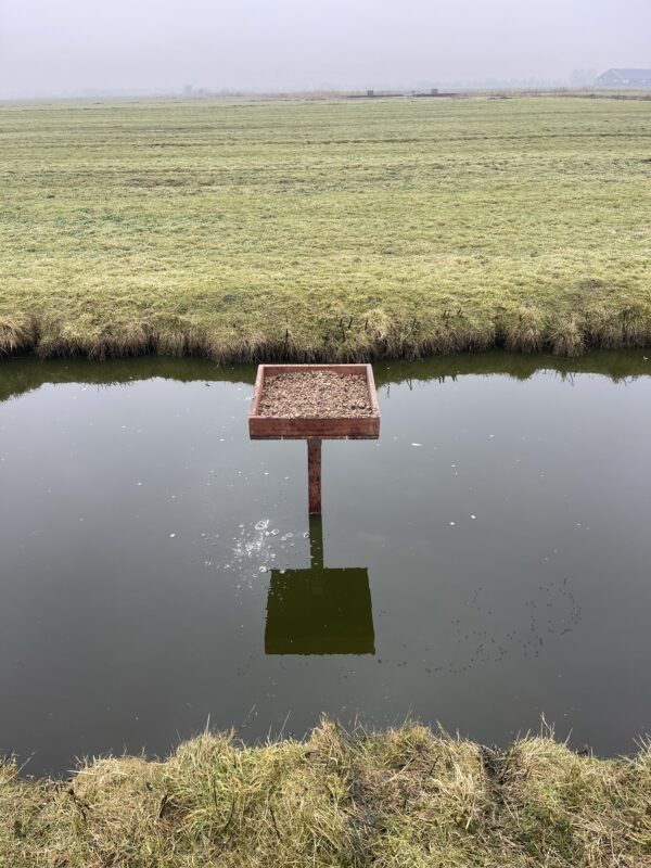 Afbeelding van een scholekster plateau van Vivara Pro x Drijvend groen