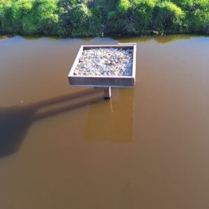 Afbeelding van een scholekster plateau van Vivara Pro x Drijvend groen op het water geïnstalleerd
