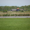 BE DG 02 Scholekster plateau | 4 Afbeelding van een scholekster plateau van Vivara Pro x Drijvend groen