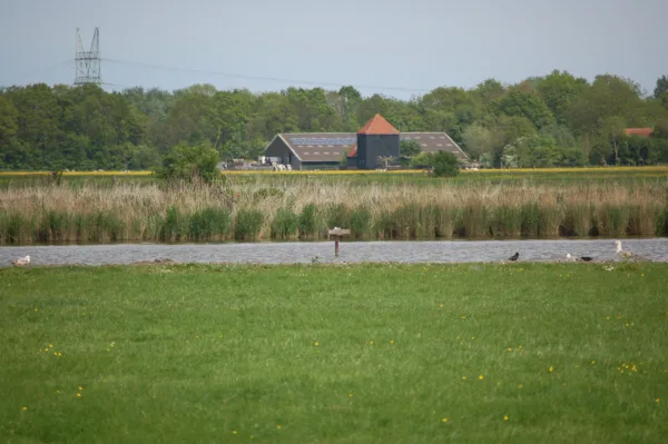 Afbeelding van een scholekster plateau van Vivara Pro x Drijvend groen
