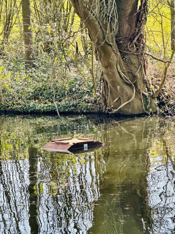 Afbeelding van de urban vogelvlot trapezium in het water